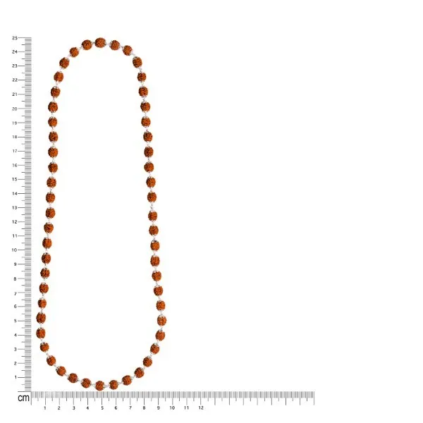Handmade Rudraksha Mala in 925 silver (7MM Rudraksha) - view 4