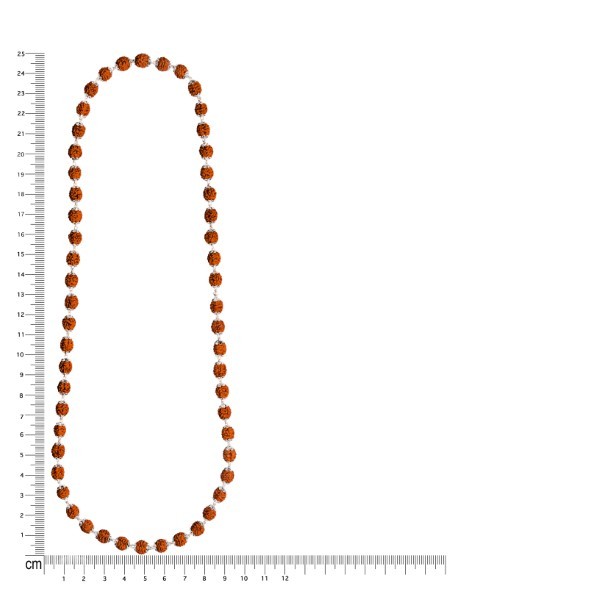 Silver 925 Men Plated Rudraksh Mala - Image 4